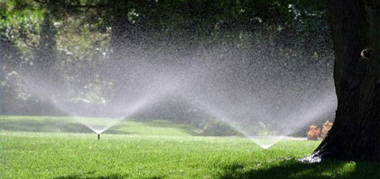 Sprinkler System